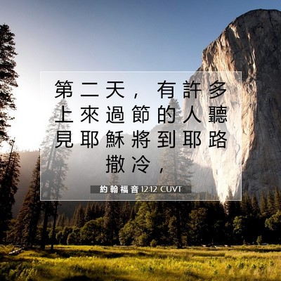 Picture 07 - 約 翰 福 音 12:12 CUVT - 第 二 天 ， 有 許 多 上 來 過 節 的 - Bible Verse Picture
