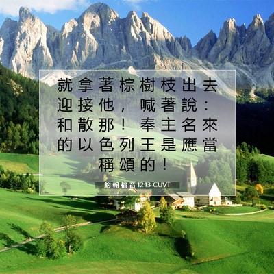 Picture 07 - 約 翰 福 音 12:13 CUVT - 就 拿 著 棕 樹 枝 出 去 迎 接 他 ， - Bible Verse Picture
