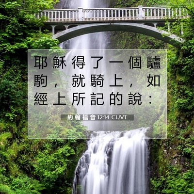 Picture 07 - 約 翰 福 音 12:14 CUVT - 耶 穌 得 了 一 個 驢 駒 ， 就 騎 上 - Bible Verse Picture