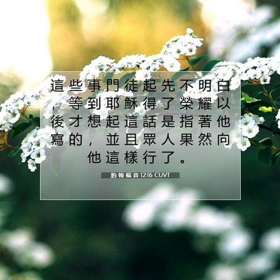 Picture 07 - 約 翰 福 音 12:16 CUVT - 這 些 事 門 徒 起 先 不 明 白 ， 等 - Bible Verse Picture