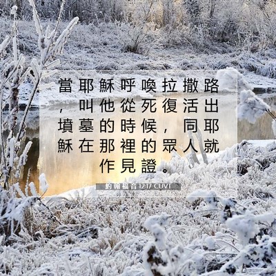 Picture 07 - 約 翰 福 音 12:17 CUVT - 當 耶 穌 呼 喚 拉 撒 路 ， 叫 他 從 - Bible Verse Picture