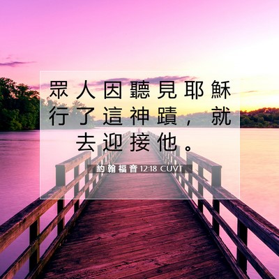 Picture 07 - 約 翰 福 音 12:18 CUVT - 眾 人 因 聽 見 耶 穌 行 了 這 神 蹟 - Bible Verse Picture
