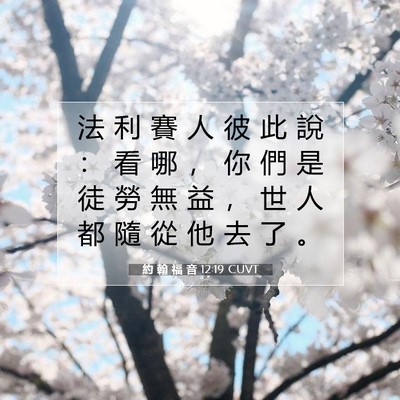 Picture 07 - 約 翰 福 音 12:19 CUVT - 法 利 賽 人 彼 此 說 ： 看 哪 ， 你 - Bible Verse Picture