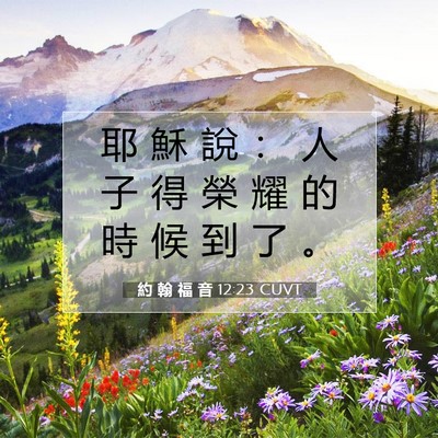 Picture 07 - 約 翰 福 音 12:23 CUVT - 耶 穌 說 ： 人 子 得 榮 耀 的 時 候 - Bible Verse Picture