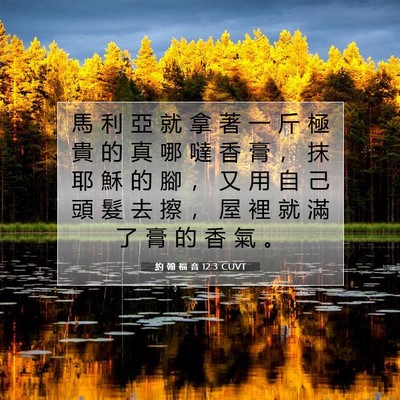 Picture 07 - 約 翰 福 音 12:3 CUVT - 馬 利 亞 就 拿 著 一 斤 極 貴 的 真 - Bible Verse Picture