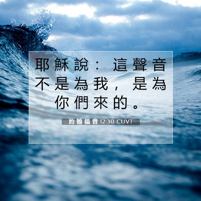 Picture 07 - 約 翰 福 音 12:30 CUVT - 耶 穌 說 ： 這 聲 音 不 是 為 我 ， - Bible Verse Picture