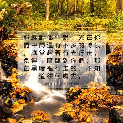 Picture 07 - 約 翰 福 音 12:35 CUVT - 耶 穌 對 他 們 說 ： 光 在 你 們 中 - Bible Verse Picture