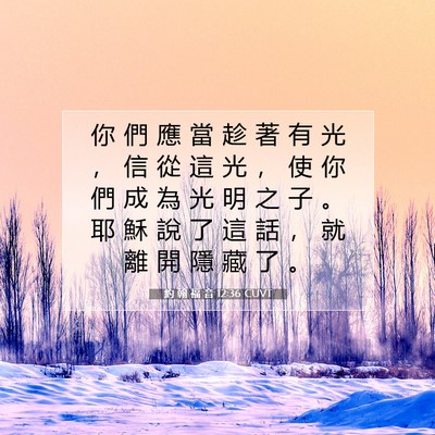 Picture 07 - 約 翰 福 音 12:36 CUVT - 你 們 應 當 趁 著 有 光 ， 信 從 這 - Bible Verse Picture