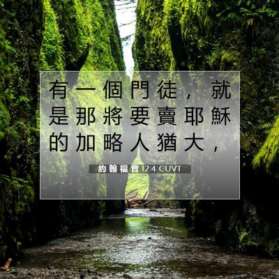 Picture 07 - 約 翰 福 音 12:4 CUVT - 有 一 個 門 徒 ， 就 是 那 將 要 賣 - Bible Verse Picture