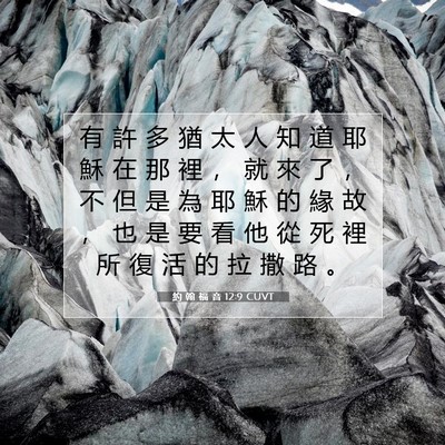 Picture 07 - 約 翰 福 音 12:9 CUVT - 有 許 多 猶 太 人 知 道 耶 穌 在 那 - Bible Verse Picture