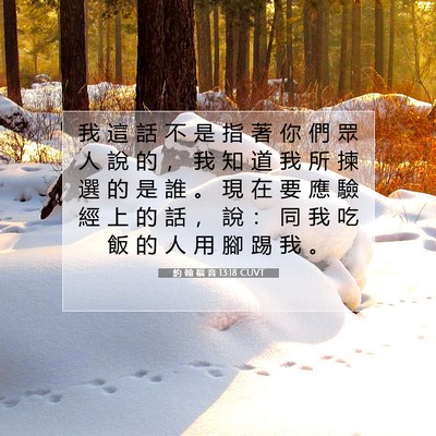 Picture 07 - 約 翰 福 音 13:18 CUVT - 我 這 話 不 是 指 著 你 們 眾 人 說 - Bible Verse Picture