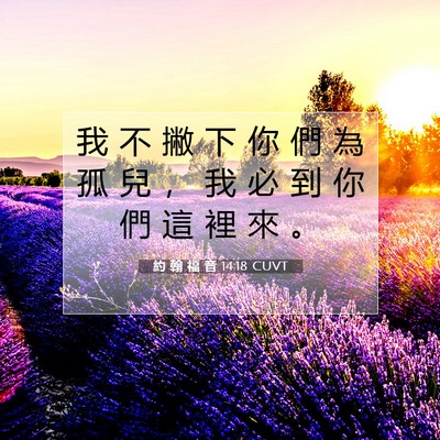 Picture 07 - 約 翰 福 音 14:18 CUVT - 我 不 撇 下 你 們 為 孤 兒 ， 我 必 - Bible Verse Picture