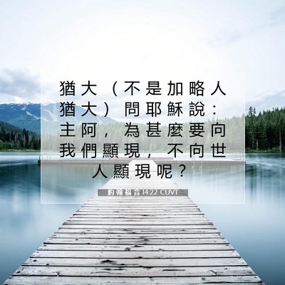 Picture 07 - 約 翰 福 音 14:22 CUVT - 猶 大 （ 不 是 加 略 人 猶 大 ） 問 - Bible Verse Picture