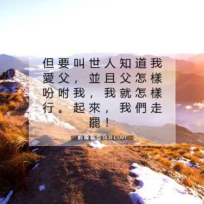 Picture 07 - 約 翰 福 音 14:31 CUVT - 但 要 叫 世 人 知 道 我 愛 父 ， 並 - Bible Verse Picture