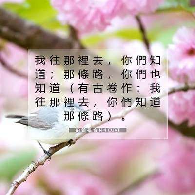 Picture 07 - 約 翰 福 音 14:4 CUVT - 我 往 那 裡 去 ， 你 們 知 道 ； 那 - Bible Verse Picture