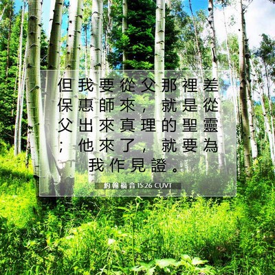 Picture 07 - 約 翰 福 音 15:26 CUVT - 但 我 要 從 父 那 裡 差 保 惠 師 來 - Bible Verse Picture