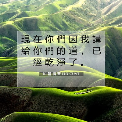 Picture 07 - 約 翰 福 音 15:3 CUVT - 現 在 你 們 因 我 講 給 你 們 的 道 - Bible Verse Picture