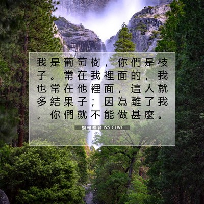 Picture 07 - 約 翰 福 音 15:5 CUVT - 我 是 葡 萄 樹 ， 你 們 是 枝 子 。 - Bible Verse Picture