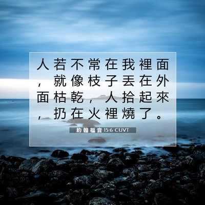 Picture 07 - 約 翰 福 音 15:6 CUVT - 人 若 不 常 在 我 裡 面 ， 就 像 枝 - Bible Verse Picture
