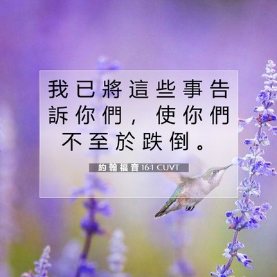 Picture 07 - 約 翰 福 音 16:1 CUVT - 我 已 將 這 些 事 告 訴 你 們 ， 使 - Bible Verse Picture