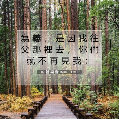Picture 07 - 約 翰 福 音 16:10 CUVT - 為 義 ， 是 因 我 往 父 那 裡 去 ， - Bible Verse Picture