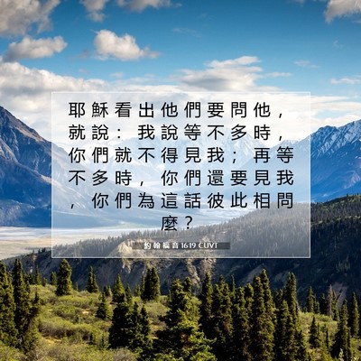 Picture 07 - 約 翰 福 音 16:19 CUVT - 耶 穌 看 出 他 們 要 問 他 ， 就 說 - Bible Verse Picture