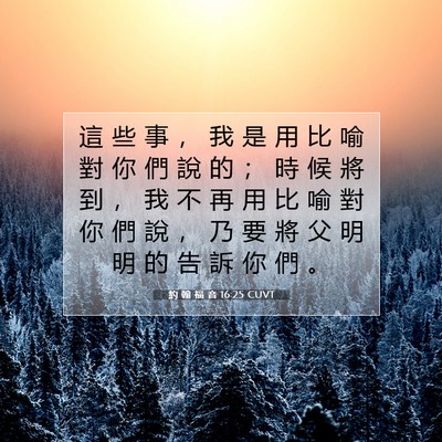Picture 07 - 約 翰 福 音 16:25 CUVT - 這 些 事 ， 我 是 用 比 喻 對 你 們 - Bible Verse Picture