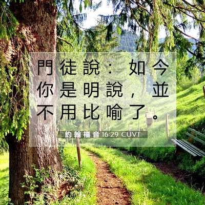 Picture 07 - 約 翰 福 音 16:29 CUVT - 門 徒 說 ： 如 今 你 是 明 說 ， 並 - Bible Verse Picture