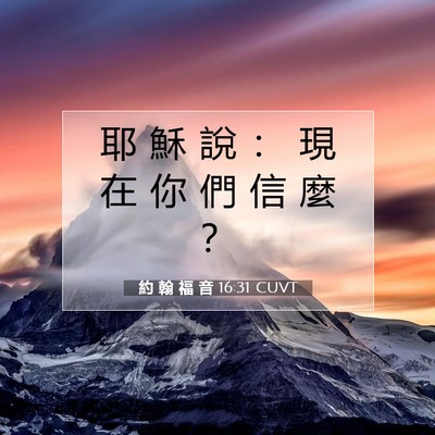 Picture 07 - 約 翰 福 音 16:31 CUVT - 耶 穌 說 ： 現 在 你 們 信 麼 - Bible Verse Picture