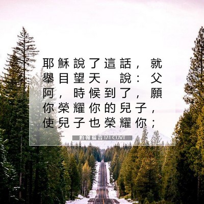 Picture 07 - 約 翰 福 音 17:1 CUVT - 耶 穌 說 了 這 話 ， 就 舉 目 望 天 - Bible Verse Picture