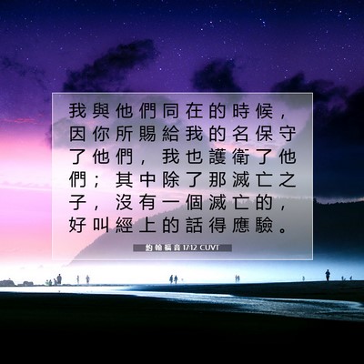 Picture 07 - 約 翰 福 音 17:12 CUVT - 我 與 他 們 同 在 的 時 候 ， 因 你 - Bible Verse Picture