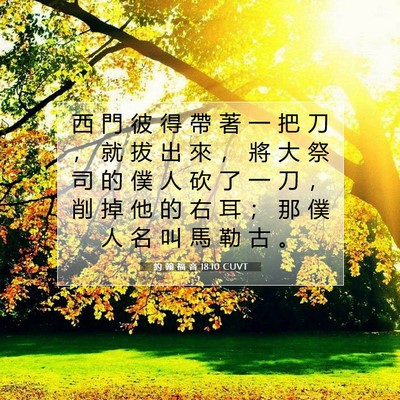 Picture 07 - 約 翰 福 音 18:10 CUVT - 西 門 彼 得 帶 著 一 把 刀 ， 就 拔 - Bible Verse Picture