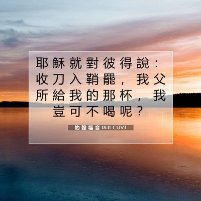Picture 07 - 約 翰 福 音 18:11 CUVT - 耶 穌 就 對 彼 得 說 ： 收 刀 入 鞘 - Bible Verse Picture