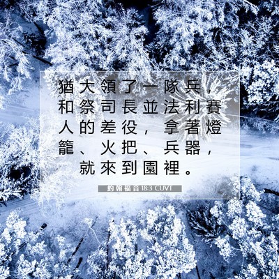 Picture 07 - 約 翰 福 音 18:3 CUVT - 猶 大 領 了 一 隊 兵 ， 和 祭 司 長 - Bible Verse Picture