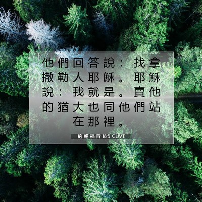 Picture 07 - 約 翰 福 音 18:5 CUVT - 他 們 回 答 說 ： 找 拿 撒 勒 人 耶 - Bible Verse Picture