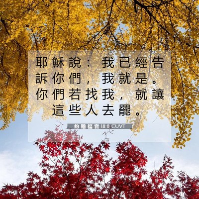 Picture 07 - 約 翰 福 音 18:8 CUVT - 耶 穌 說 ： 我 已 經 告 訴 你 們 ， - Bible Verse Picture