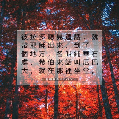 Picture 07 - 約 翰 福 音 19:13 CUVT - 彼 拉 多 聽 見 這 話 ， 就 帶 耶 穌 - Bible Verse Picture