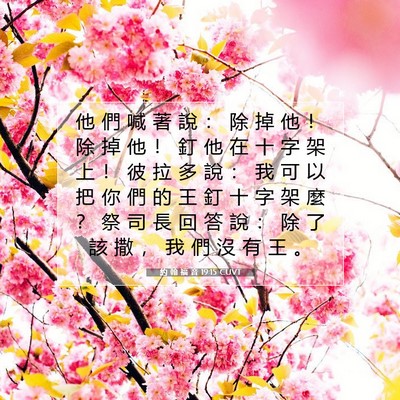 Picture 07 - 約 翰 福 音 19:15 CUVT - 他 們 喊 著 說 ： 除 掉 他 ！ 除 掉 - Bible Verse Picture