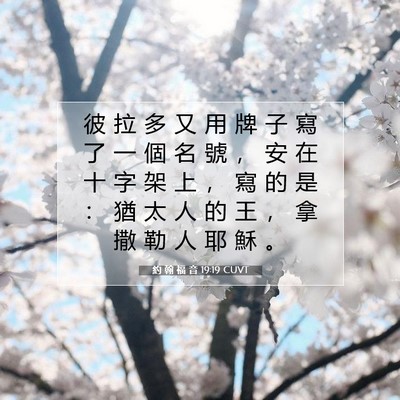 Picture 07 - 約 翰 福 音 19:19 CUVT - 彼 拉 多 又 用 牌 子 寫 了 一 個 名 - Bible Verse Picture