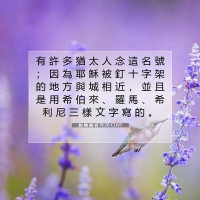 Picture 07 - 約 翰 福 音 19:20 CUVT - 有 許 多 猶 太 人 念 這 名 號 ； 因 - Bible Verse Picture