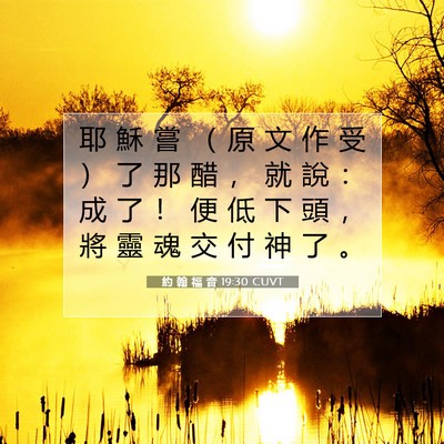 Picture 07 - 約 翰 福 音 19:30 CUVT - 耶 穌 嘗 （ 原 文 作 受 ） 了 那 醋 - Bible Verse Picture