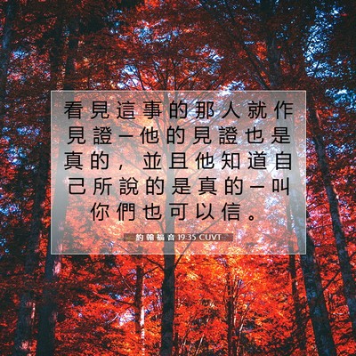Picture 07 - 約 翰 福 音 19:35 CUVT - 看 見 這 事 的 那 人 就 作 見 證 ─ - Bible Verse Picture