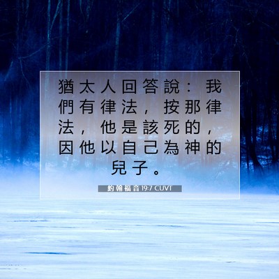 Picture 07 - 約 翰 福 音 19:7 CUVT - 猶 太 人 回 答 說 ： 我 們 有 律 法 - Bible Verse Picture