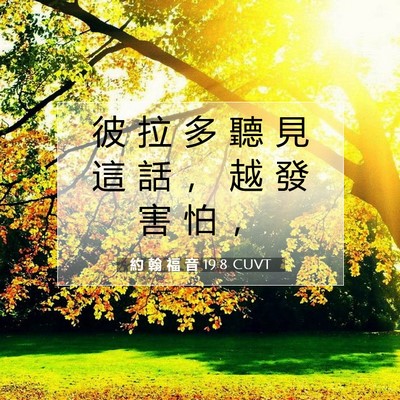Picture 07 - 約 翰 福 音 19:8 CUVT - 彼 拉 多 聽 見 這 話 ， 越 發 害 怕 - Bible Verse Picture