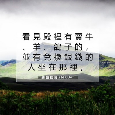 Picture 07 - 約 翰 福 音 2:14 CUVT - 看 見 殿 裡 有 賣 牛 、 羊 、 鴿 子 - Bible Verse Picture
