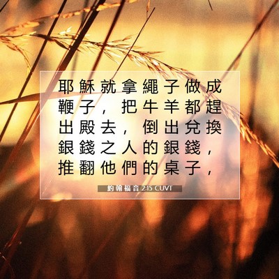 Picture 07 - 約 翰 福 音 2:15 CUVT - 耶 穌 就 拿 繩 子 做 成 鞭 子 ， 把 - Bible Verse Picture