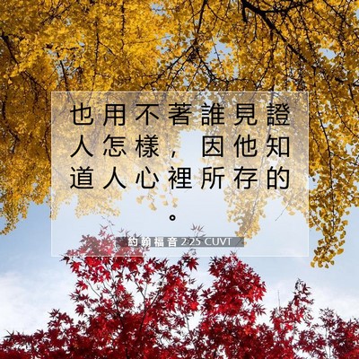 Picture 07 - 約 翰 福 音 2:25 CUVT - 也 用 不 著 誰 見 證 人 怎 樣 ， 因 - Bible Verse Picture
