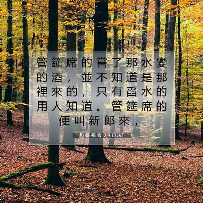 Picture 07 - 約 翰 福 音 2:9 CUVT - 管 筵 席 的 嘗 了 那 水 變 的 酒 ， - Bible Verse Picture