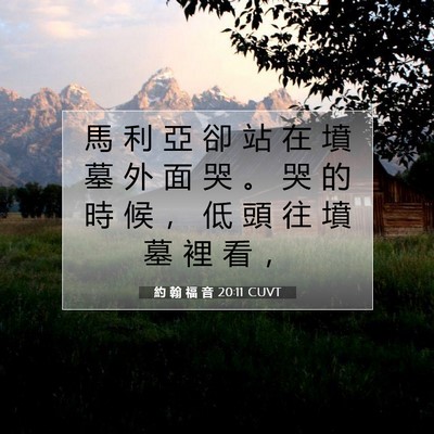 Picture 07 - 約 翰 福 音 20:11 CUVT - 馬 利 亞 卻 站 在 墳 墓 外 面 哭 。 - Bible Verse Picture