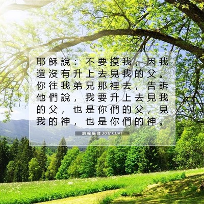 Picture 07 - 約 翰 福 音 20:17 CUVT - 耶 穌 說 ： 不 要 摸 我 ， 因 我 還 - Bible Verse Picture